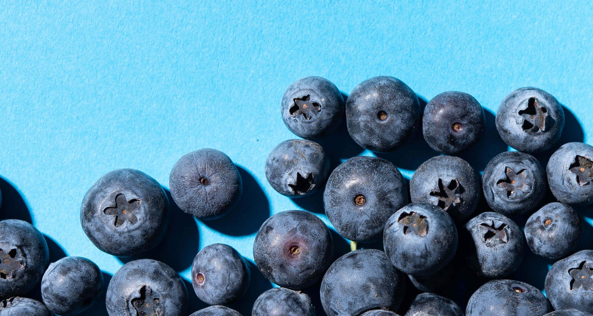 Blueberries Are In...Again